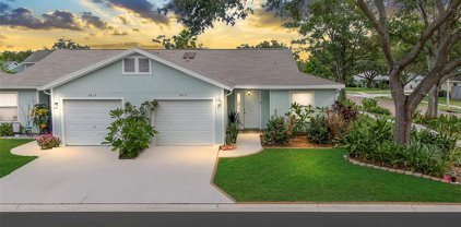 4415 Pine Meadow Court, Tampa