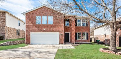 3517 Quail View  Drive, McKinney