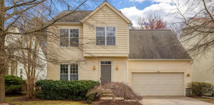 2455 Arctic Fox Way, Reston