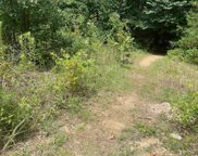 Meadow Creek, Haskell image