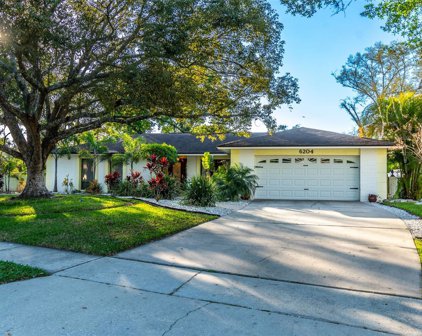 6204 Soaring Avenue, Temple Terrace