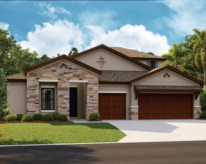 9231 Warm Springs Circle, Parrish