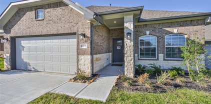 13075 Clear View Drive, Willis