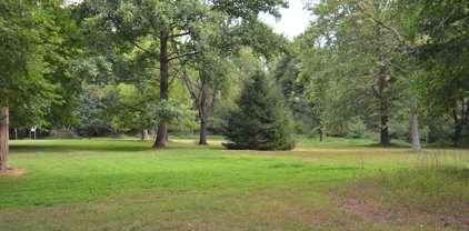 Bolyn, Purcellville