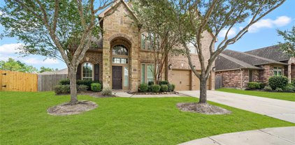 14113 Timber Bluff Drive, Pearland