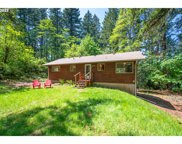 3730 SE STILES RD, Washougal image