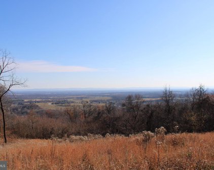 21.66 acres Off Trinity Church Rd & Reelbirch, Martinsburg