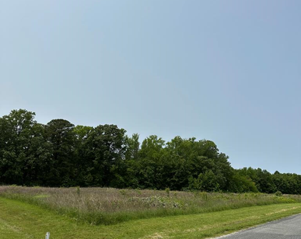 Lot 34 Safe Harbor Landing, Hague