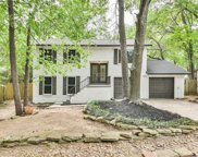 11913 S Red Cedar Circle, The Woodlands image