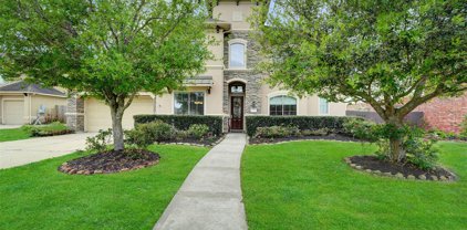 1727 Pampas Trail Drive, Friendswood