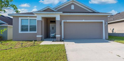 30798 Water Lily Drive, Brooksville