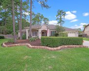 2103 Bradbury Path Court, Spring image