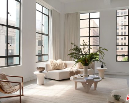 849 S Broadway Unit 308, Los Angeles