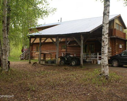55542 S Parks Highway, Talkeetna