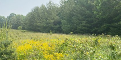 Lot 9 Toms Knob Road, Sparta
