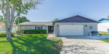 15816 Crying Wind Drive, Tampa