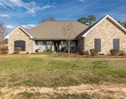 1029 Chris, Woodworth image