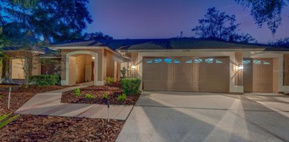 4766 Bardsdale Drive, Palm Harbor