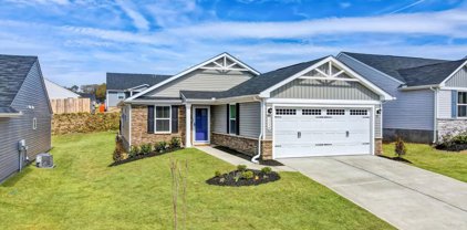 1114 Spring Morning, Spartanburg