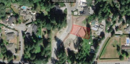 12850 235 A Street, Maple Ridge