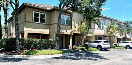 900 Normandy Trace Road, Tampa