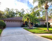 2404 Saddlewood Lane, Palm Harbor image