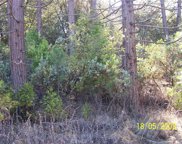 111 Old Yosemite, Oakhurst image