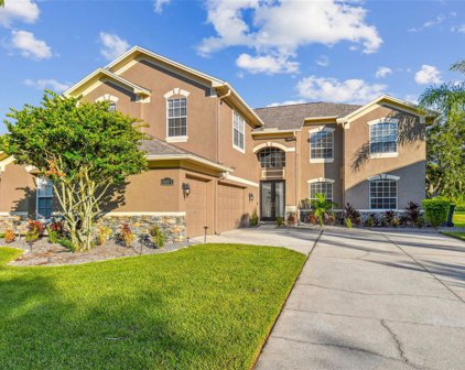 4322 Harbor Lake Drive, Lutz