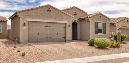 13362 N Cottontop, Oro Valley