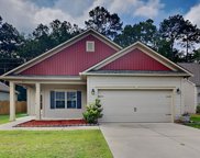 241 Elsoma Drive, Chapin image
