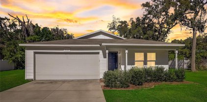 8162 Tranquil Drive, Spring Hill