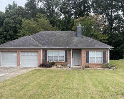 781 River Mist Drive, Jonesboro