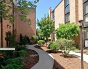 3020 N Waterloo Court Unit #9, Chicago image