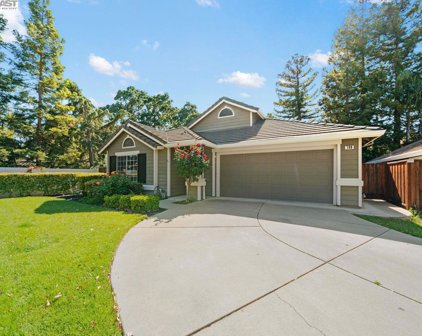 198 Trenton Cir, Pleasanton