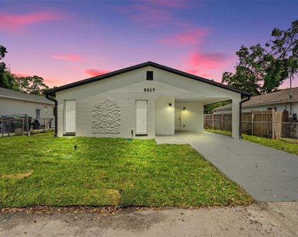 5017 N 15th Street, Tampa
