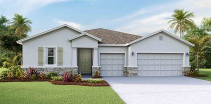 23040 Scaglione Drive, Lutz
