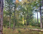 000 County Road 2701, Burkeville image