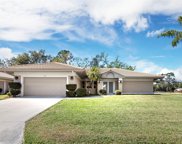 1191 Willow Springs Drive, Venice image