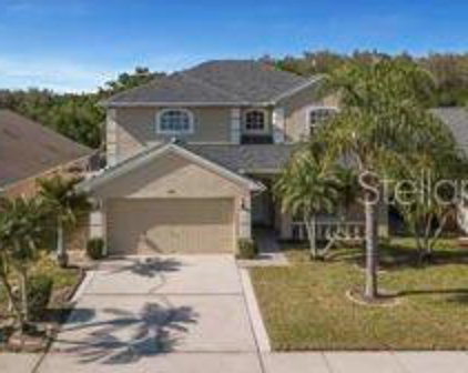 523 Cypress View Drive, Oldsmar