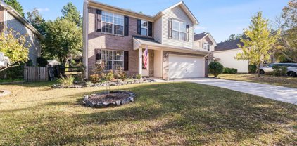 513 Red Oak  Court, Tega Cay