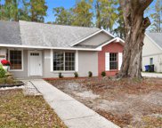 3213 Laurel Dale Drive, Tampa image