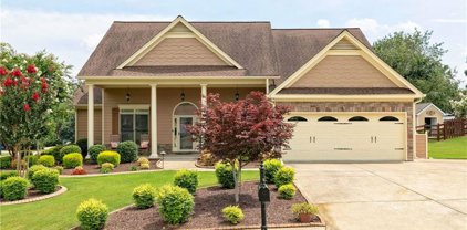 201 S Mountain Brook Way, Ball Ground