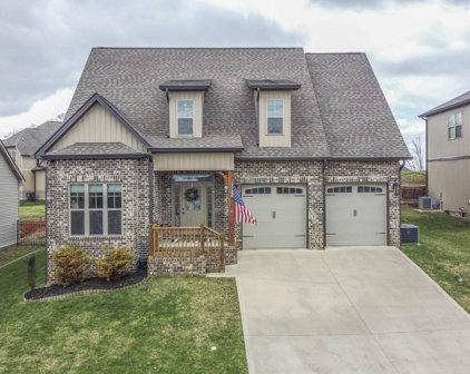 9908 Winding Hill Lane, Knoxville