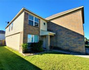 16864 Tableland Trail, Conroe image