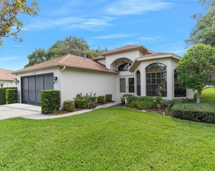 11163 Cherrywood Court, Spring Hill