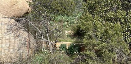 19096 Deerhorn Valley Rd, Jamul