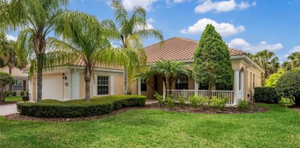 12180 Obelia Lane, Orlando