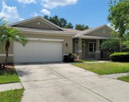 11701 Holly Creek Drive, Riverview image