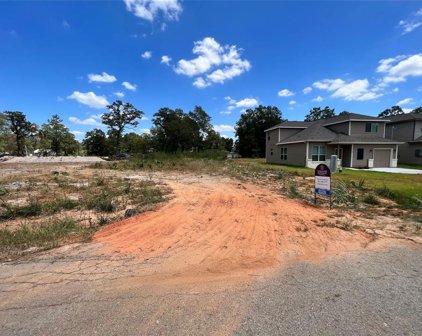Spindle Oaks Drive, Conroe