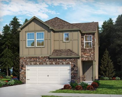 619 Citriadora  Street, Fort Mill